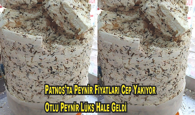 Patnos'ta Peynir Fiyatları Cep Yakıyor: Otlu Peynir Lüks Hale Geldi