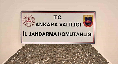 Roma Dönemine ait sikke ve objeleri satmaya çalışan tarihi eser kaçakçılarına operasyon: 2 gözaltı