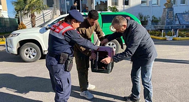 Sakarya’da kaçak avcılık yapan şahsa 48 bin 250 TL ceza