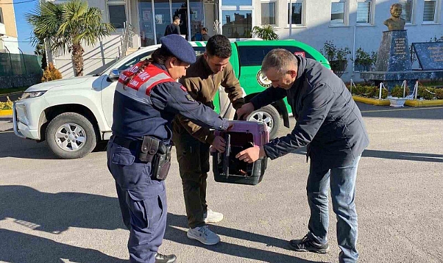 Sakarya’da kaçak avcılık yapan şahsa 48 bin 250 TL ceza