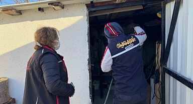 Serdivan’da kahverengi kokarca ile etkili mücadele