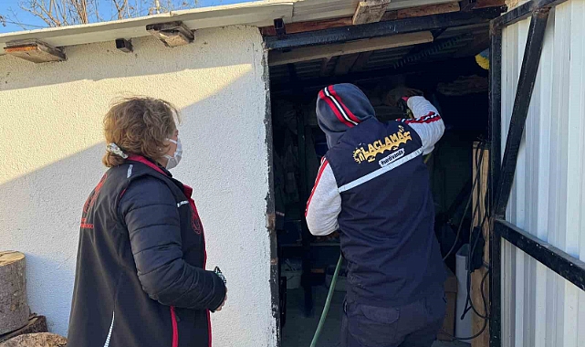 Serdivan’da kahverengi kokarca ile etkili mücadele