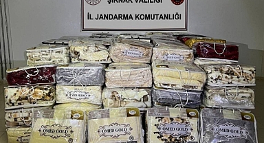 Şırnak’ta kaçakçılık operasyonuna 17 gözaltı