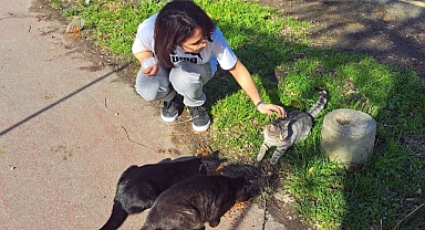 SUBÜ’lü öğrenciler sokak hayvanları için mama dağıttı