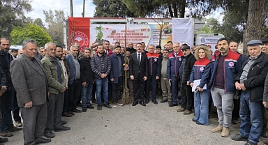 Sultanhisar’da 6 bin kestane fidanı dağıtıldı