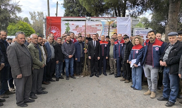 Sultanhisar’da 6 bin kestane fidanı dağıtıldı