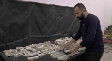 Taşhan’da 2024’te 115 fosil bulundu