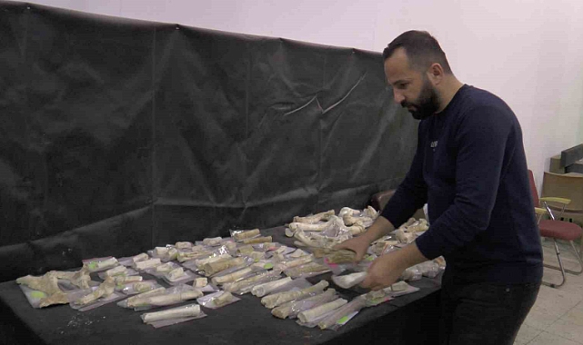 Taşhan’da 2024’te 115 fosil bulundu