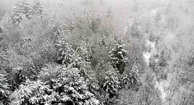 Tekçam Geçidi'nde görsel şölen