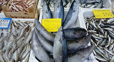 Tezgahta en ucuzu Çinekop balığı