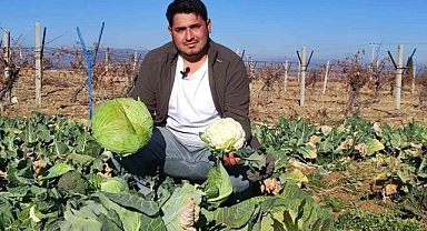 Üniversiteyi bitiren genç köyünde yetiştirilmeyeni üretti