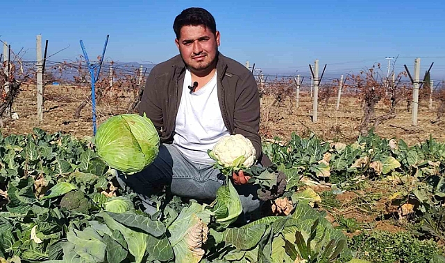 Üniversiteyi bitiren genç köyünde yetiştirilmeyeni üretti