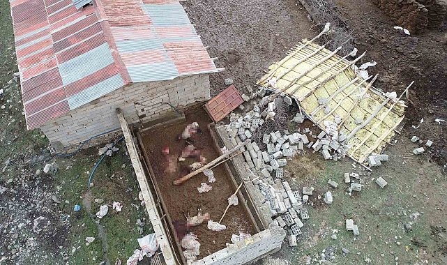 Van'da  meydana gelen hortum çatıları uçurdu
