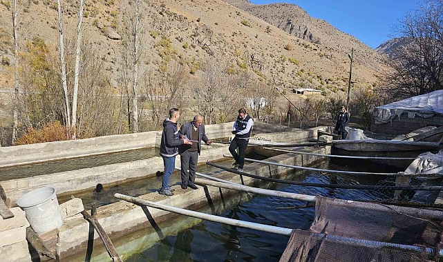 Van'da su samurları görüntülendi