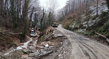 Yağışlarla birlikte meydana gelen heyelanlara anında müdahale