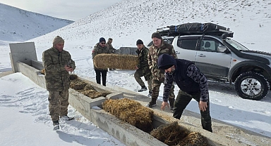 Yılkı atları için karla kaplı Akdağ’a saman taşıdılar