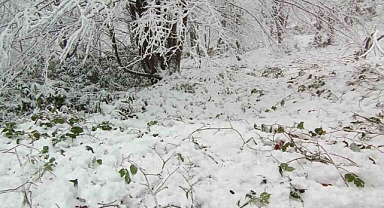 Yüksek kesimlerde kar kalınlığı 15 santime kadar ulaştı