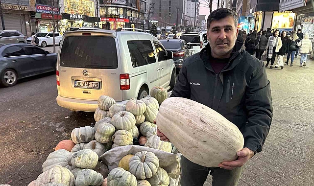 Yüksekova'da kışın vazgeçilmezi: Bal kabak