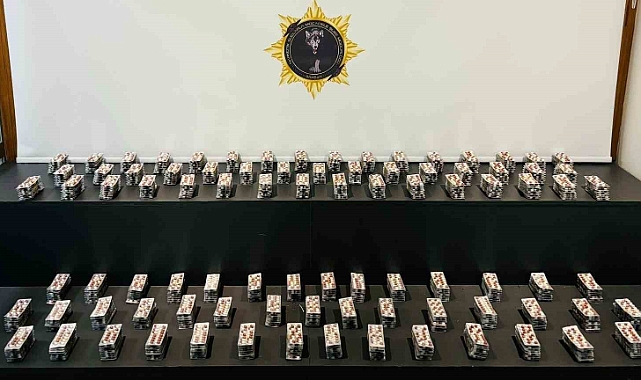 7600 adet sentetik ecza ele geçirildi: 2 gözaltı
