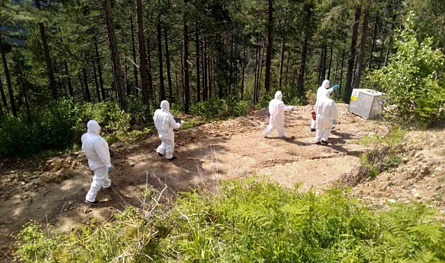 Adana’da 2024 yılında 26 bin 488 faydalı böcek üretildi