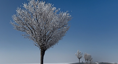 Ağrı’da kırağı tutan ağaçlar güzel görüntüler oluşturdu