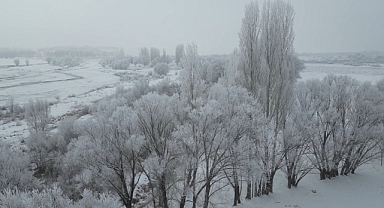 Ağrı’da kırağı tutan ağaçlar havadan görüntülendi