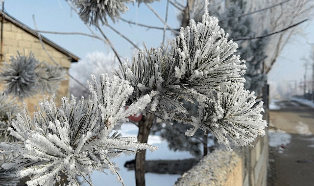 Ağrı’da soğuk hava etkisini sürdürüyor