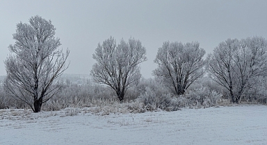 Ağrı’da soğuk hava hakim