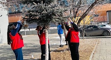 Ağrı Gençlik Merkezi Gönüllüleri soğuk kış günlerinde minik dostları yalnız bırakmadı