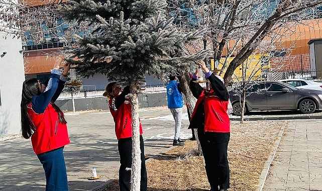 Ağrı Gençlik Merkezi Gönüllüleri soğuk kış günlerinde minik dostları yalnız bırakmadı