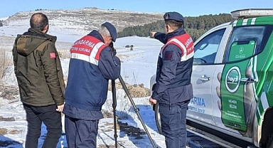 Ardahan’da Jandarma, kaçak avcılığa karşı denetimlerini sürdürüyor
