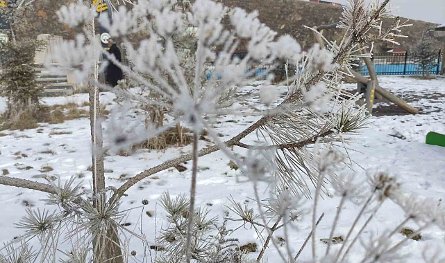 Ardahan'da Sibirya soğukları