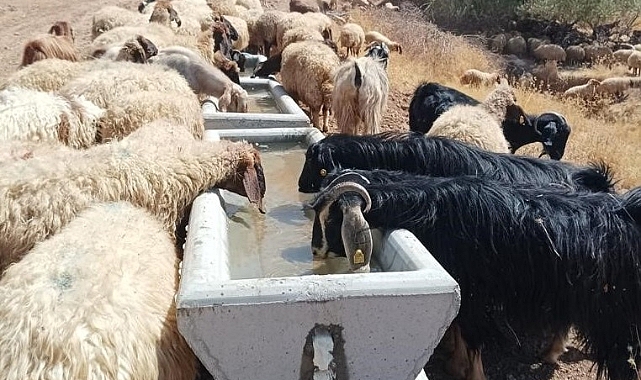 Batman’da otlak alanlarda 440 adet su sıvatı yerleştirildi