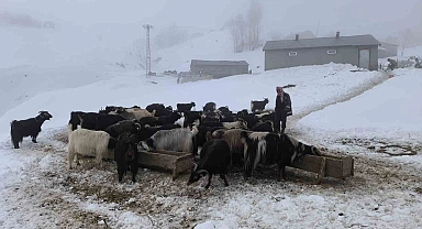 Besiciler karla mücadeleye devam ediyor