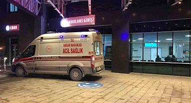 Bilecik’te orta refüje çarpan araçtan bulunan 2 kişi yaralandı