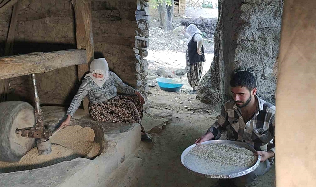 Bitlis'te asırlık su değirmenlerinde çeltikler pirinç haline getiriliyor