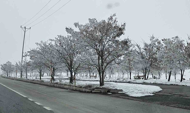 Bitlis'te dondurucu soğuk etkili oluyor: Ağaçlar kırağıyla kaplandı
