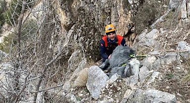 Burdur’da dağlık alanda mahsur kalan keçi kurtarıldı