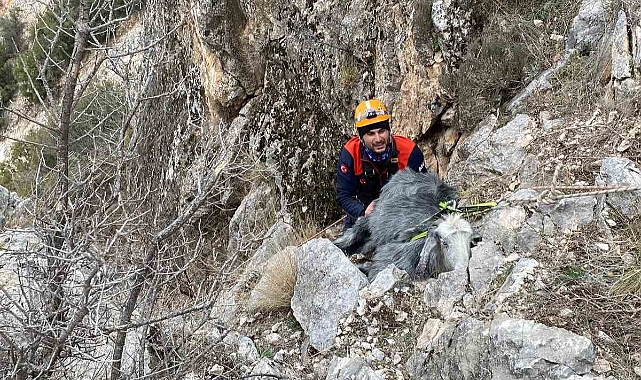Burdur’da dağlık alanda mahsur kalan keçi kurtarıldı