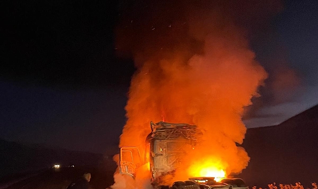 Çaldıranda seyir halindeki tır alev alev yandı