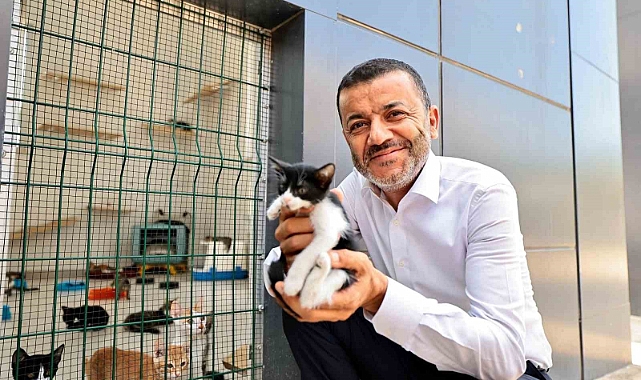 Denizli Büyükşehir 2024 yılında 24 bin 179 can dostu sağlığına kavuşturdu