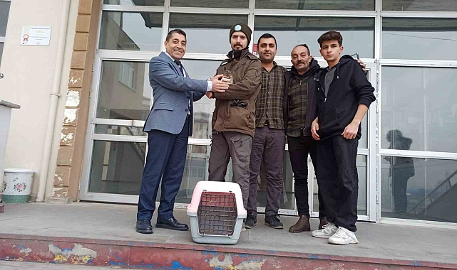 DKMP Iğdır Şube Müdürlüğü ekipleri bitkin halde bulunan kukumav kuşu tedaviye alındı