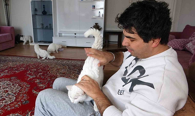 Endemik bir tür olan Van kedisinin neslini korumak için evinin kapılarını açtı