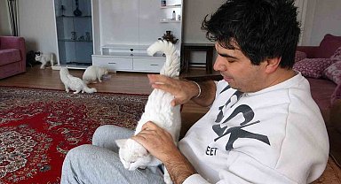 Endemik bir tür olan Van kedisinin neslini korumak için evinin kapılarını açtı