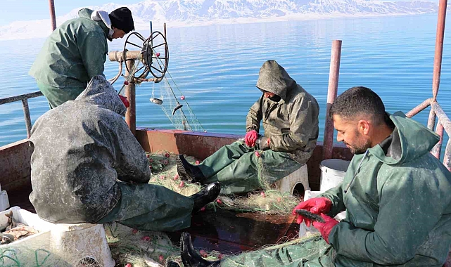 Erçek Gölü'ndeki balık popülasyonu balıkçıları sevindirdi