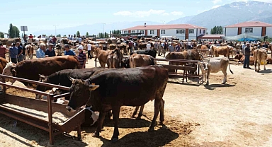 Erzincan’daki hayvan pazarında şap karantinası
