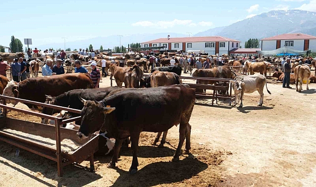 Erzincan’daki hayvan pazarında şap karantinası