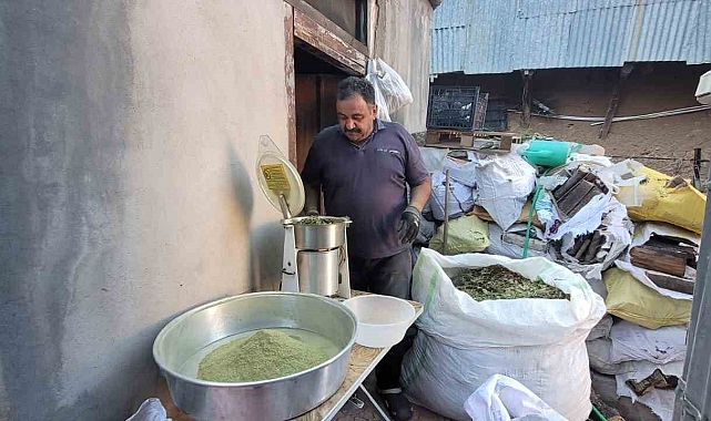 Erzincan Kemaliye'de 120 çeşit bitkinin karışımıyla elde edilen baharat; Zetrin
