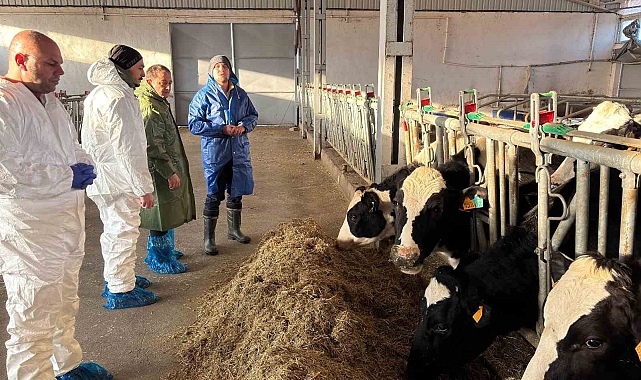 Erzincan'da 3 işletme ari işletme olmak için başvuru yaptı