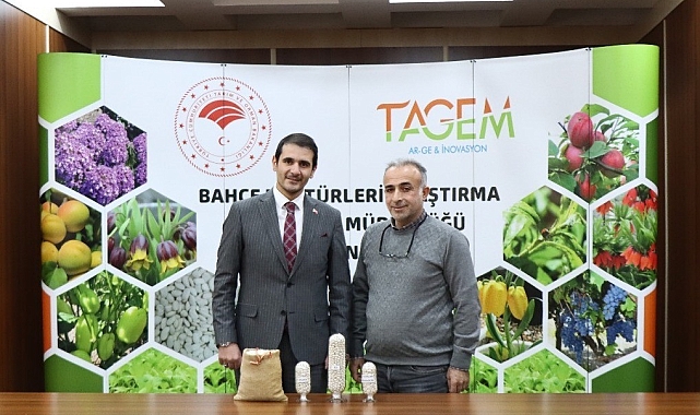 Erzincan&#039;da iki adet kuru fasulye cinsi tescil yolunda